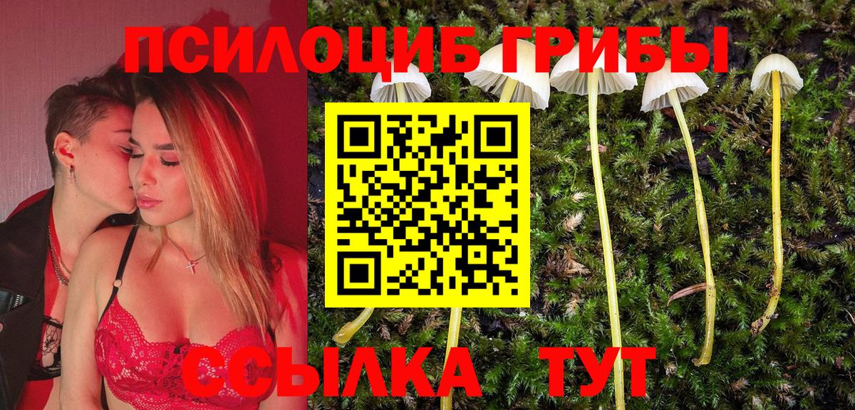 Ливны  Псилоцибиновые грибы Magic Shrooms  Вход с VPN 